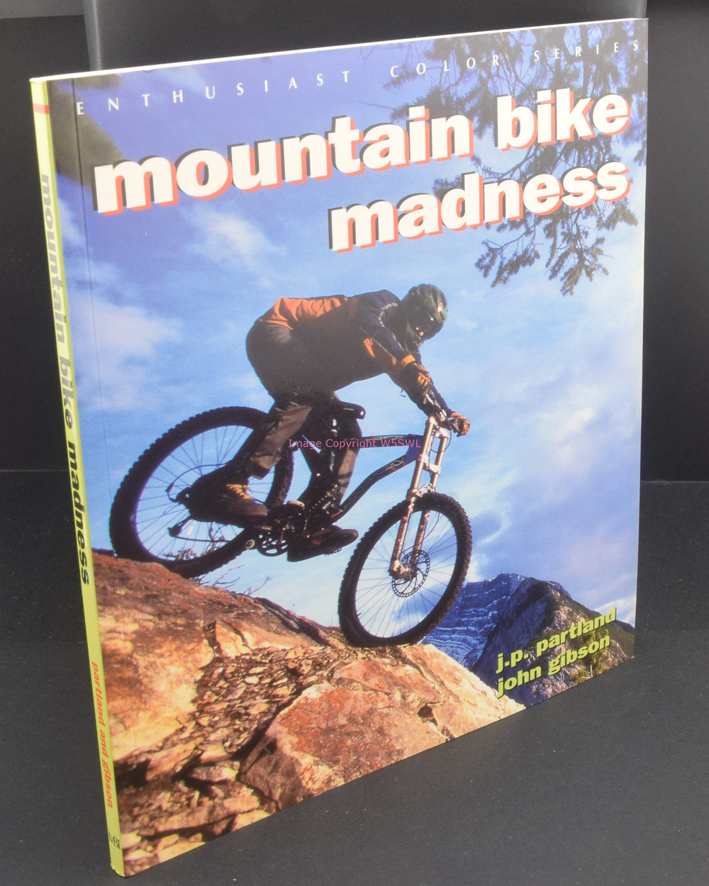 Mountain Bike Madness by Partland and Gibson - Dave's Hobby Shop by W5SWL