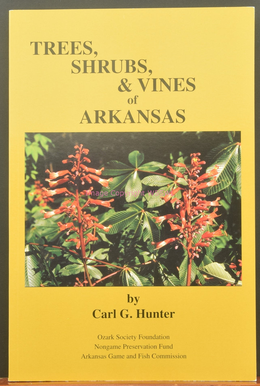 Trees Shrubs & Vines of Arkansas by Carl G Hunter 3rd 2004 - Dave's Hobby Shop by W5SWL