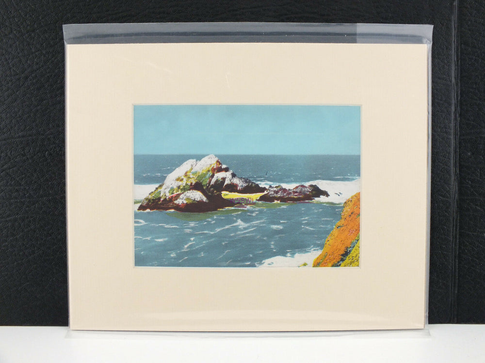 Seal Rocks San Francisco California Matted Picture - Dave's Hobby Shop by W5SWL