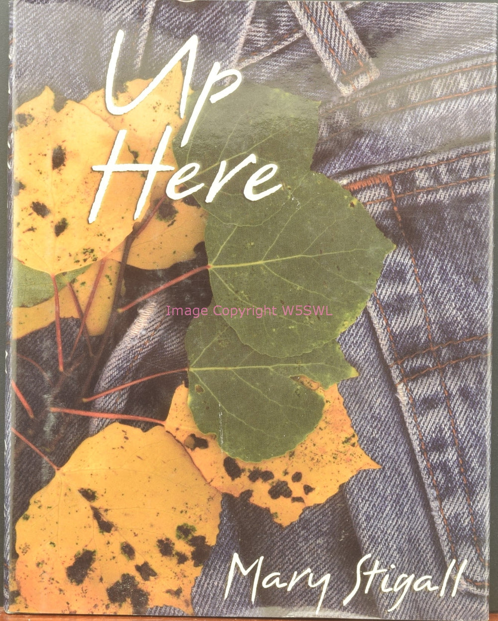 Up Here by Mary Stigall - Dave's Hobby Shop by W5SWL