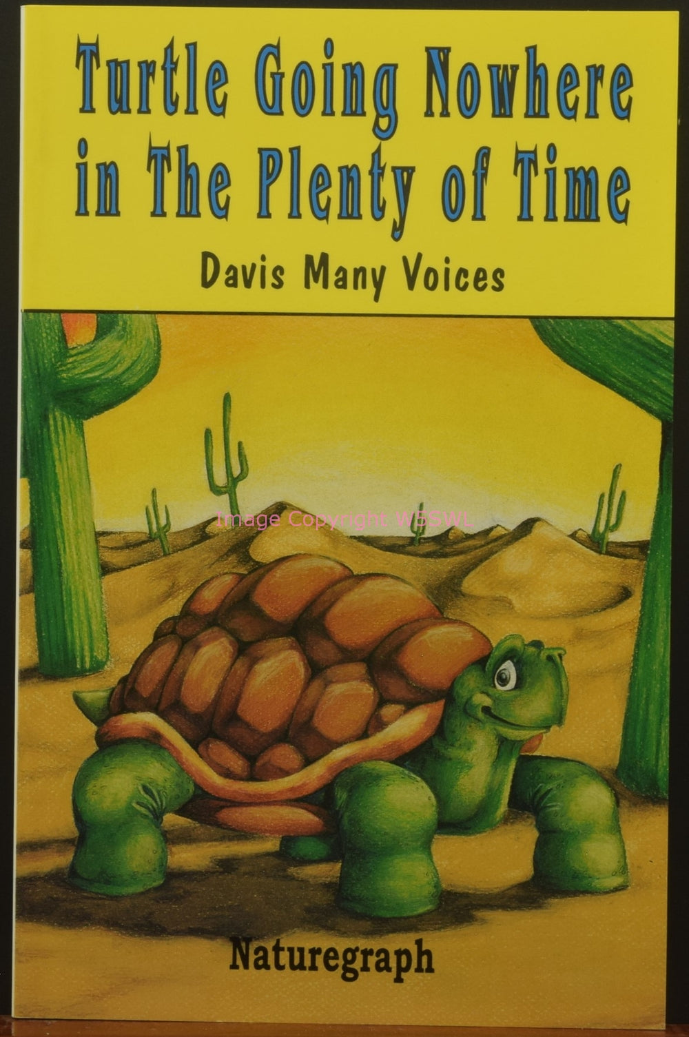 Turtle Going Nowhere in the Plenty of Time - Maria Posa Healing Wings - Dave's Hobby Shop by W5SWL