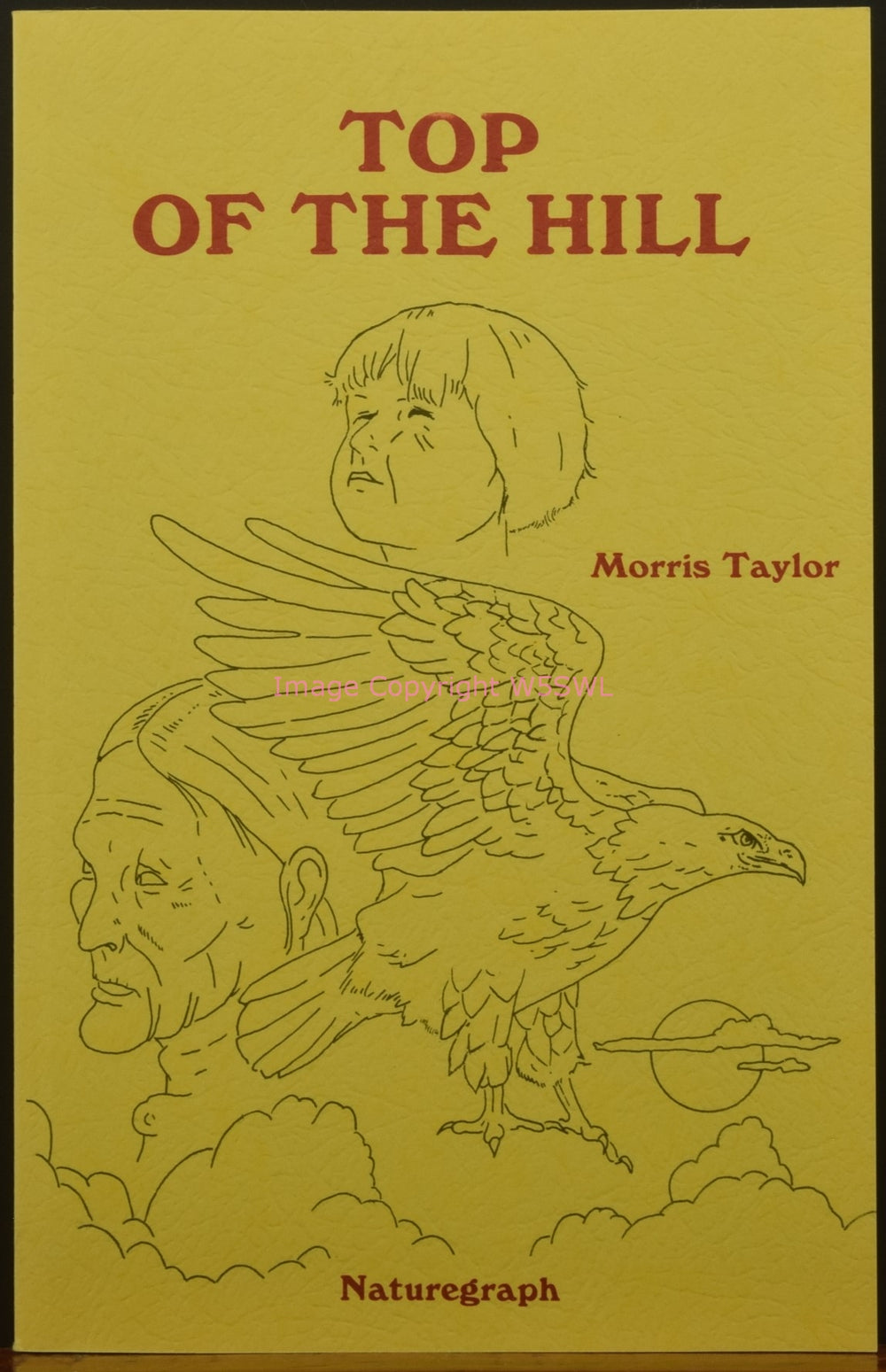 Top Of The Hill by Morris Taylor Native American Naturegraph - Dave's Hobby Shop by W5SWL